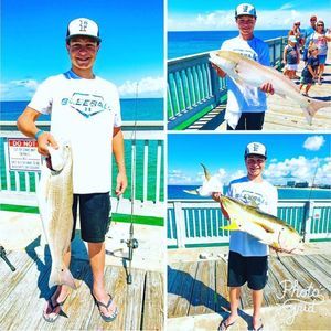 Meet your Posher, Mason